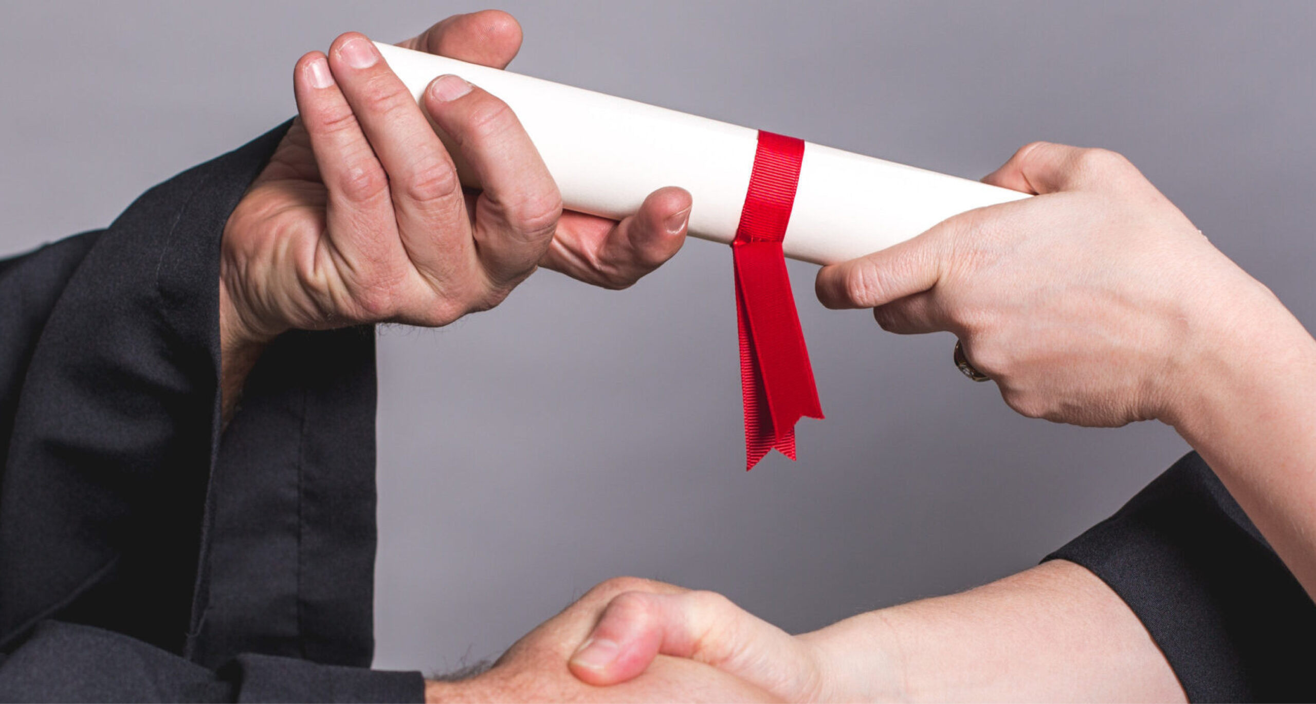 palmilla web image-01