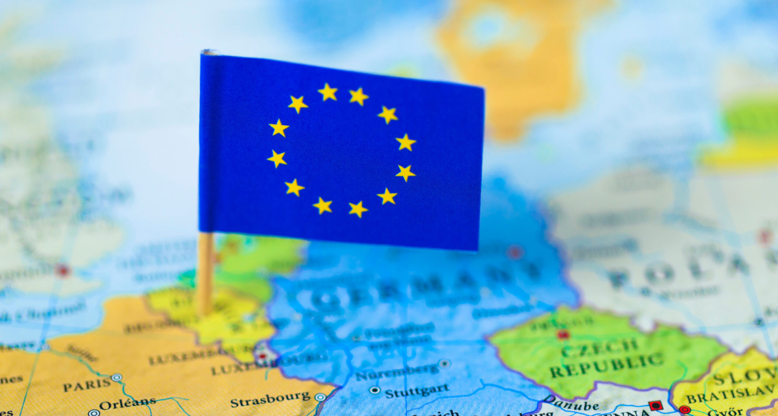 palmilla web image2-01