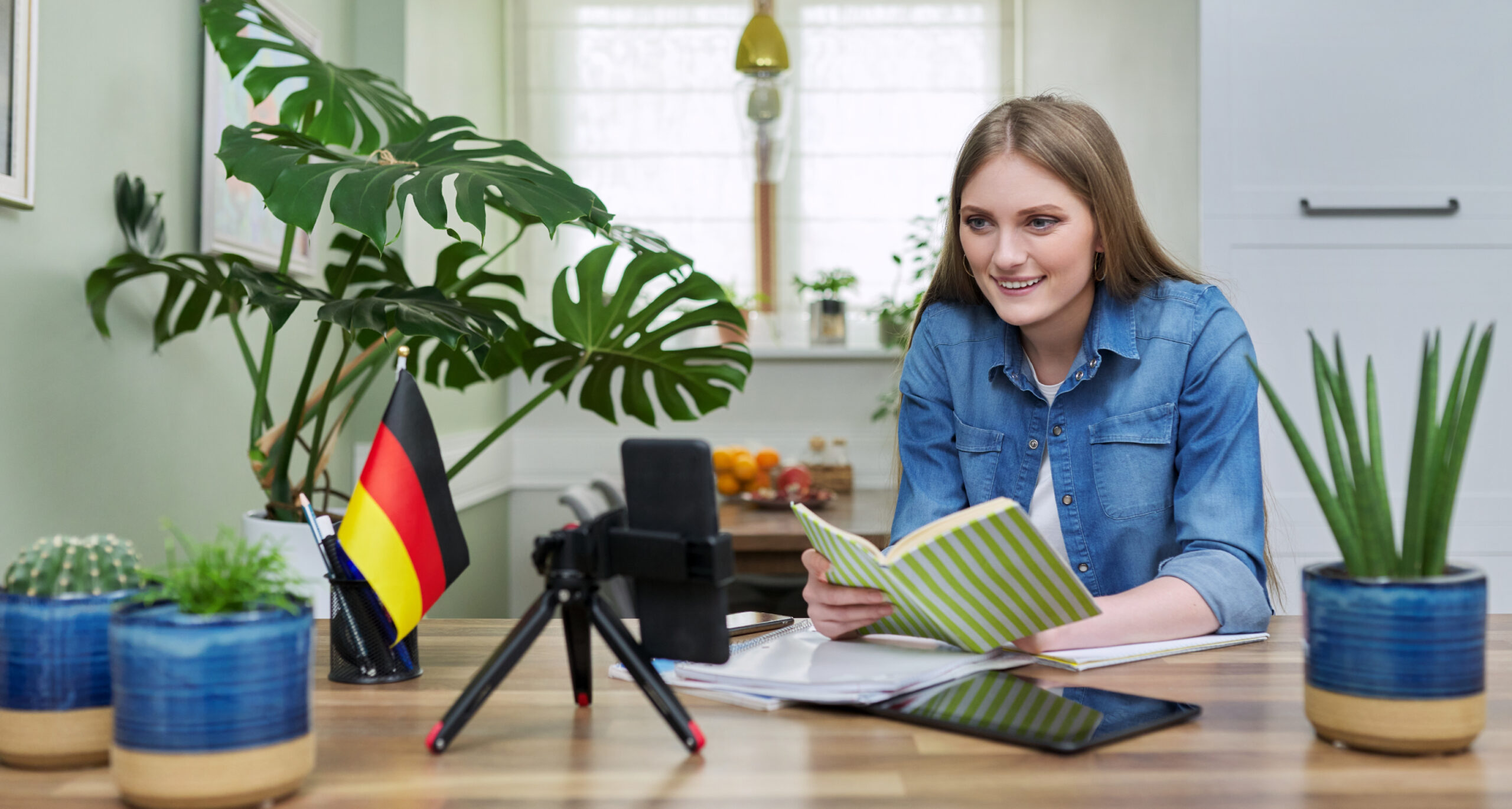 palmilla web image_2-01